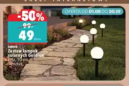 Biedronka Zestaw lampek solarnych Sanico Goldlux 10-pak oferta
