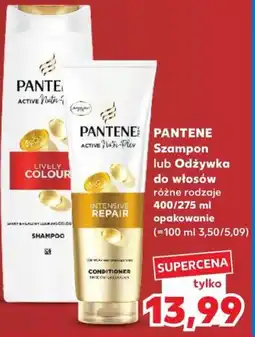 Kaufland Pantene Szampon lub Odżywka do włosów oferta