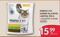 Selgros Perfect Fit Karma dla kota lub psa oferta