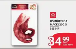 Selgros OŚMIORNICA MACKI oferta