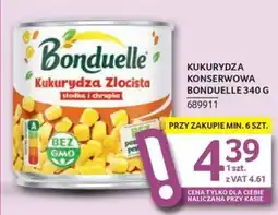 Selgros Kukurydza Złocista oferta