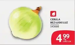 Selgros Cebula Bez Łuski Luz oferta