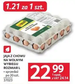 Selgros Jaja z chowu na wolnym wybiegu oferta