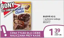 Selgros Budyń Chwila oferta