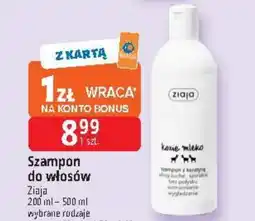 E.Leclerc Szampon Ziaja oferta