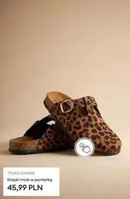 Sinsay Klapki mule w panterkę oferta