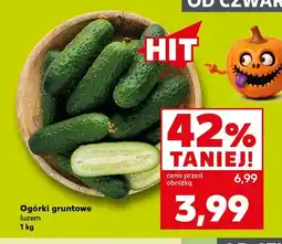 Kaufland Ogórki gruntowe oferta