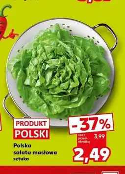 Kaufland Sałata masłowa polska oferta