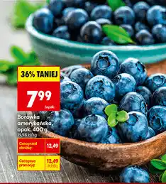 Biedronka Borówka amerykańska oferta