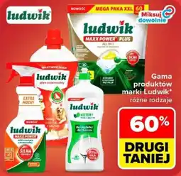 Carrefour ludwik płyn uniwersalny oferta