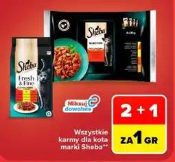 Carrefour Karmy dla kota marki Sheba oferta