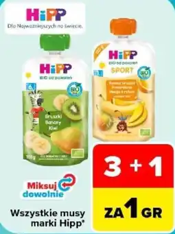 Carrefour Musy Hipp oferta