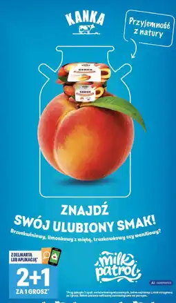 Delikatesy Centrum Serek Kanka oferta
