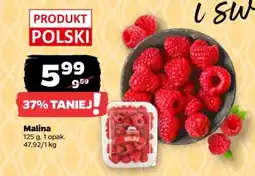 Netto Malina oferta