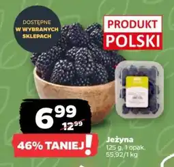 Netto Jeżyna oferta