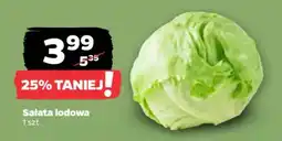 Netto Sałata lodowa oferta