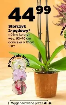Netto Storczyk 2-pędowy oferta