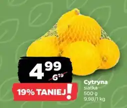 Netto Cytryna oferta