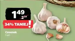 Netto Czosnek oferta