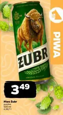 Netto Piwo ŻUBR oferta