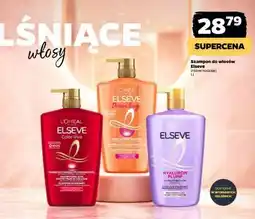 Netto Szampon do włosów ELSEVE oferta