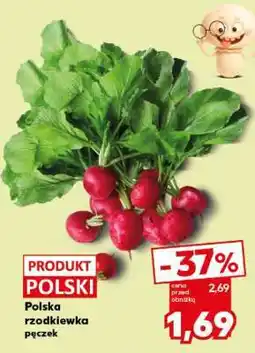 Kaufland Polska rzodkiewka pęczek oferta