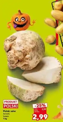 Kaufland Polski seler oferta