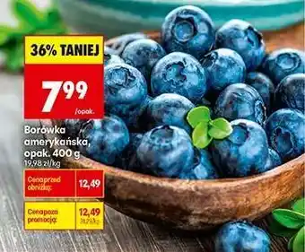 Borówka amerykańska, opak. 400 g