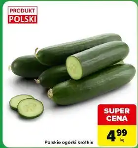 Polskie ogórki krótkie