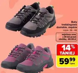 Carrefour Buty trekkingowe damskie, męskie TEX oferta