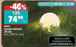 Biedronka Lampa solarna 30 cm kula, 4000 K, biała oferta