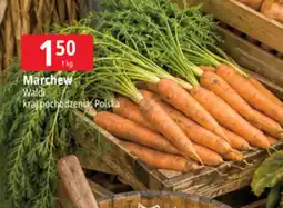 E.Leclerc Marchew polska Waldi oferta