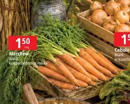 E.Leclerc Marchew polska Waldi oferta