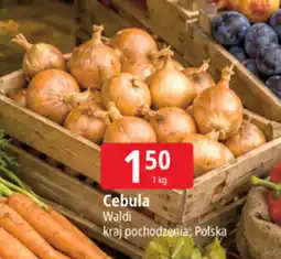 E.Leclerc Cebula polska Waldi oferta