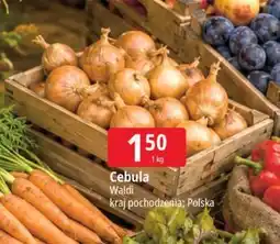 E.Leclerc Cebula polska Waldi oferta