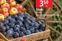 E.Leclerc Śliwki polska oferta