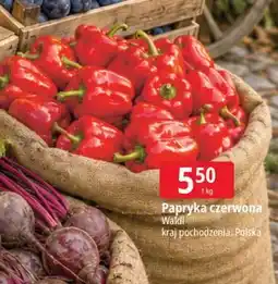 E.Leclerc Papryka czerwona polska oferta