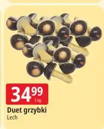 E.Leclerc Ciastka wesołe grzybki w czekoladzie mlecznej Lech oferta