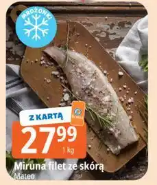 E.Leclerc Miruna mrożona Mateo oferta