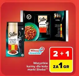 Carrefour Karma dla kota z kurczakiem wołowiną kaczką Sheba Fresh & Fine oferta