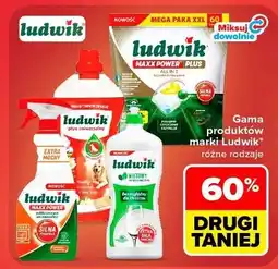Carrefour Płyn do mycia naczyń miętowy Ludwik oferta