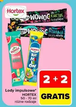 Carrefour Lody pitahaja liczi mięta Hortex Wowoc oferta