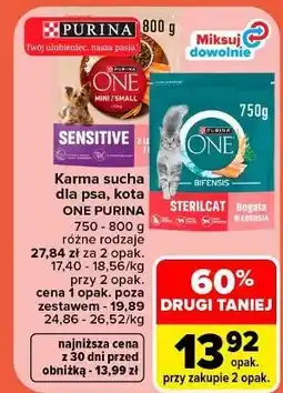 Carrefour Karma dla psa mini/small oferta