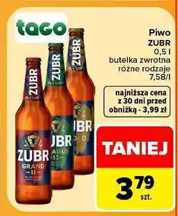 Carrefour Piwo Zubr Gradus oferta