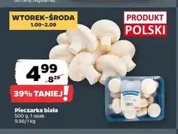 Netto Pieczarki białe oferta