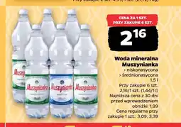 Netto Woda mineralna gazowana Muszynianka niskonasycona oferta