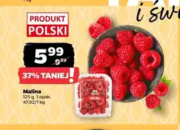 Netto Maliny oferta