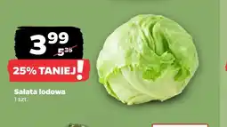Netto Sałata lodowa oferta
