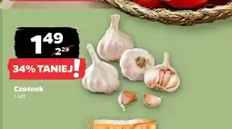 Netto Czosnek oferta