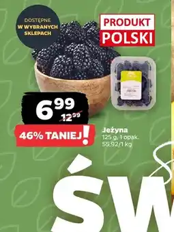 Netto Jeżyny polskie oferta